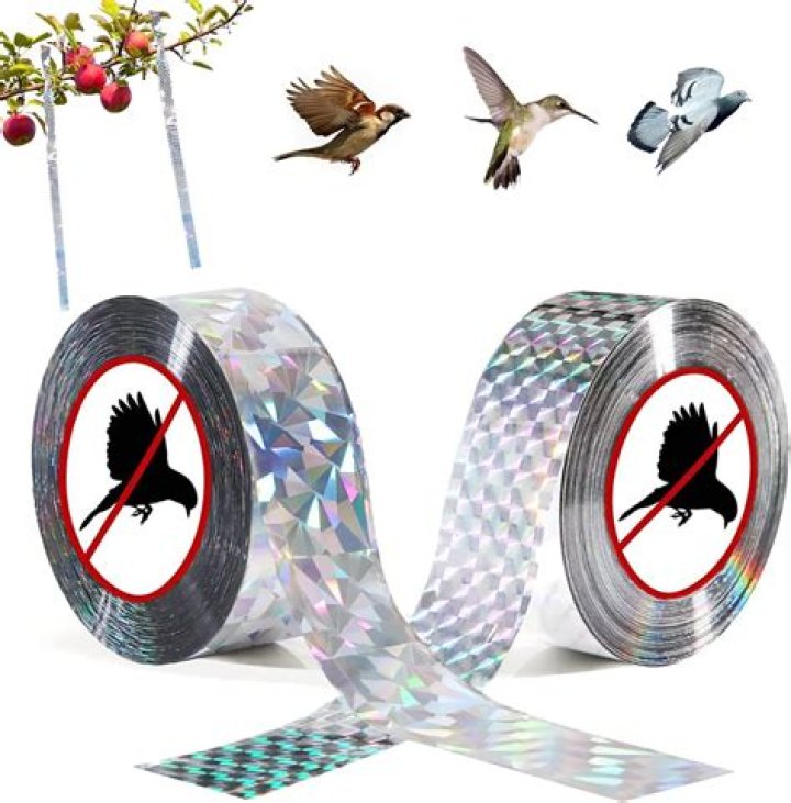 How do you use holographic tape for birds?