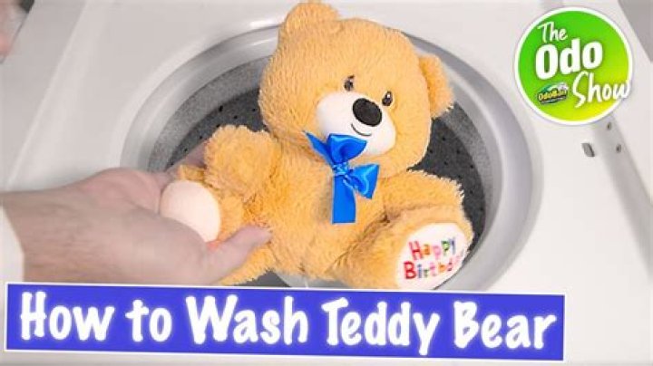 How do you wash a teddy bear without washing it?