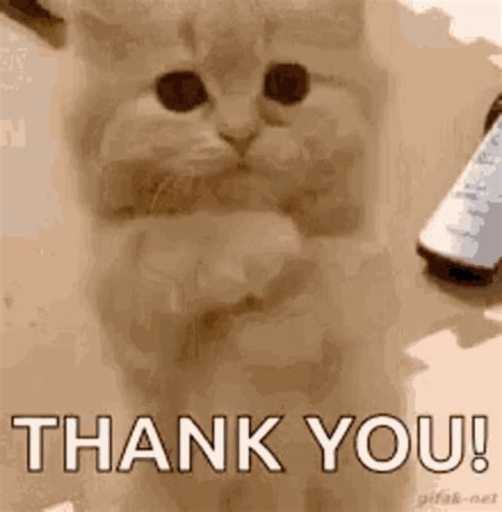 How does a cat say thank you?