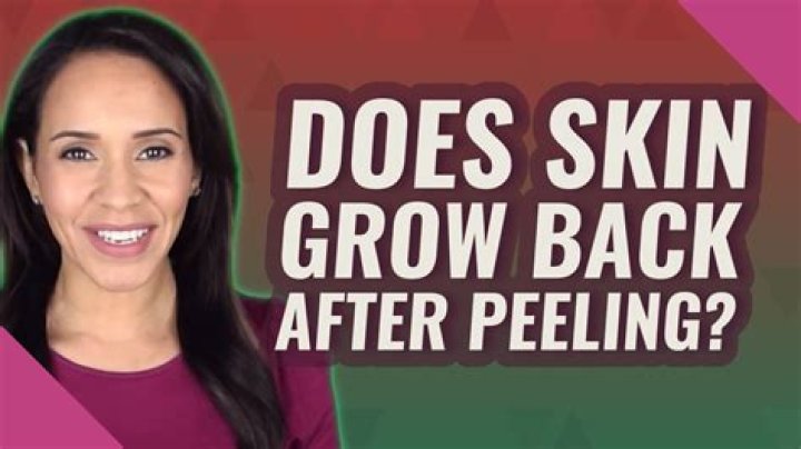 How does skin grow back?