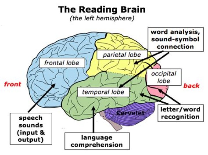 How does writing affect the brain?