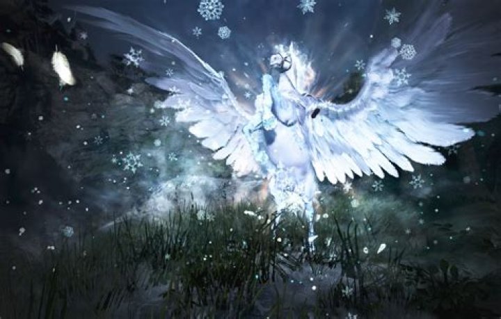 How hard is it to care for an alpaca?