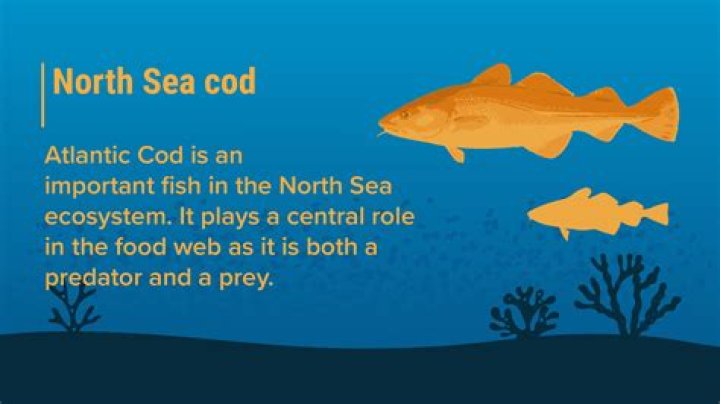 How important is oil to Scotland?