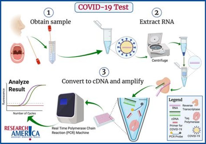 How is COVID-19 diagnosed?