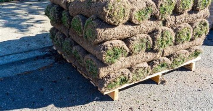 How long can sod sit on pallet?