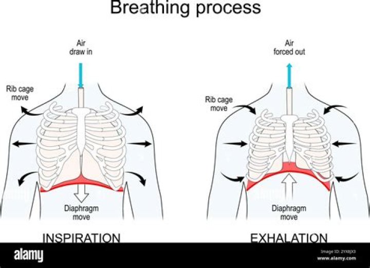 How long do exhale CO2 bags last?