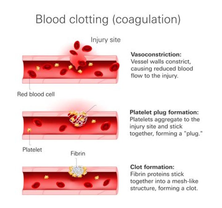 How long does a blood clot last?