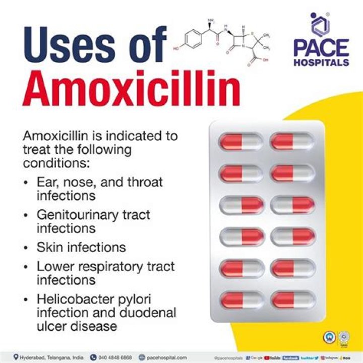 How long does it take amoxicillin to work for gonorrhea?