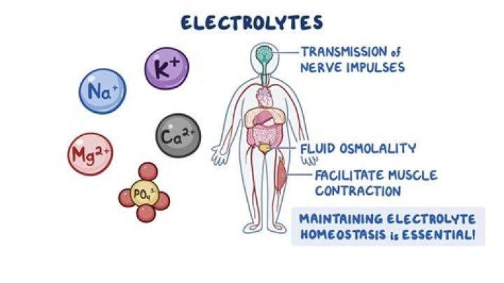 How long does it take electrolytes to get into the system?