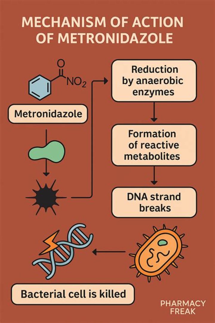 How long does it take for metronidazole to leave your system?