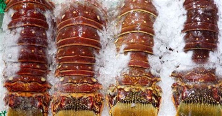How long is lobster good in the freezer?