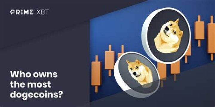 How many DOGE holders are there?
