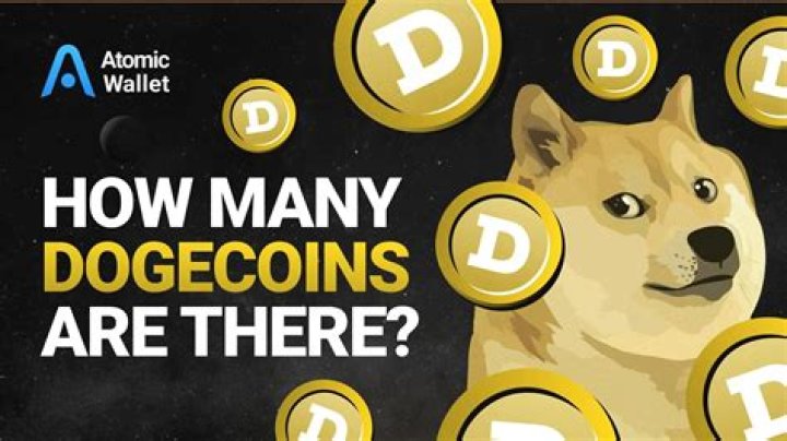 How many Doge Killer coins are there?