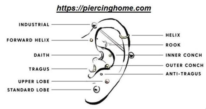 How many ear piercings can you get at once?