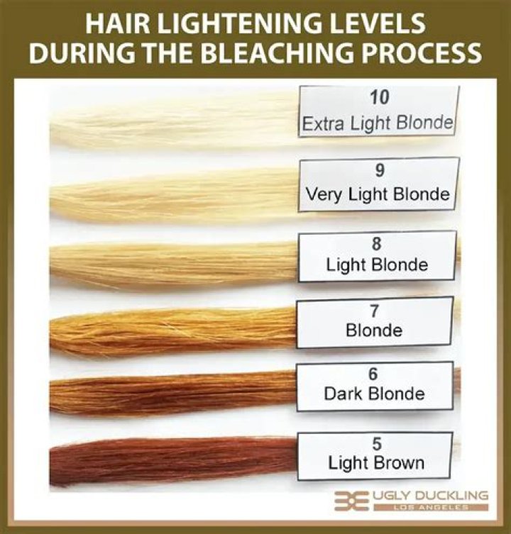 How many levels can you lighten hair in one session?