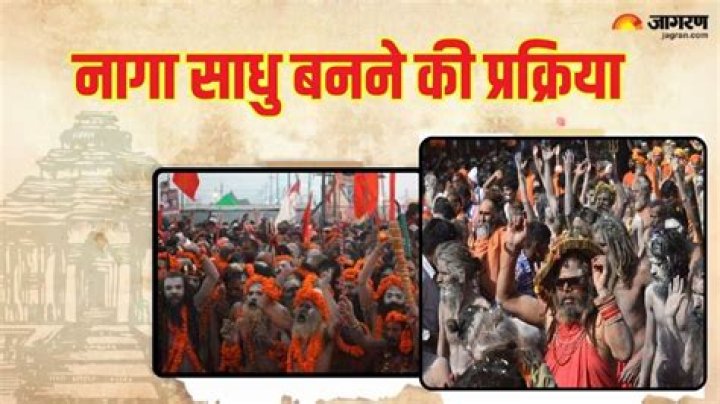 How many Naga sadhu are there in India?