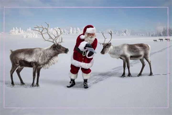 How many reindeer does Santa have 2021?