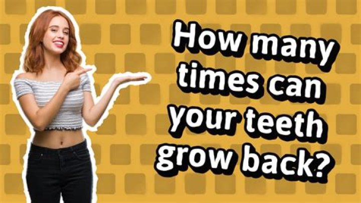 How many times can your teeth grow back?