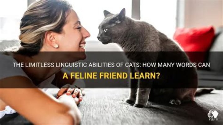 How many words can a cat learn?