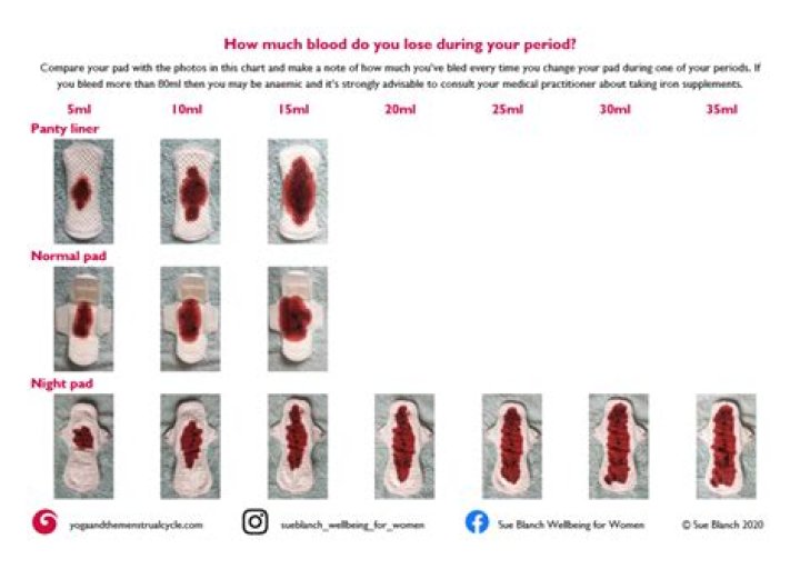 How much blood does a pad hold?