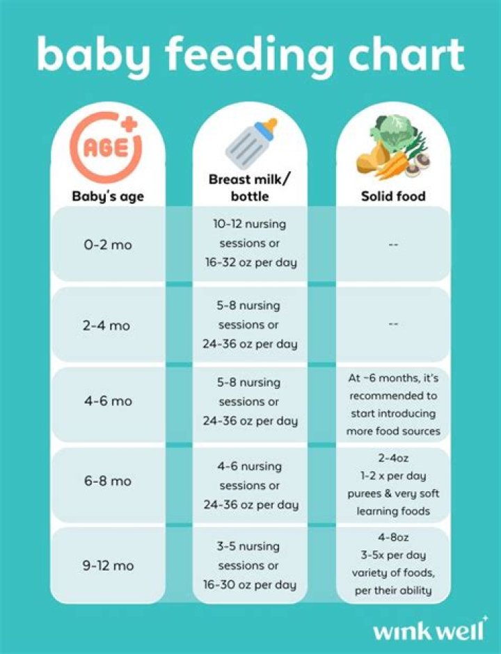 HOW MUCH CAN 2 week old baby eat?