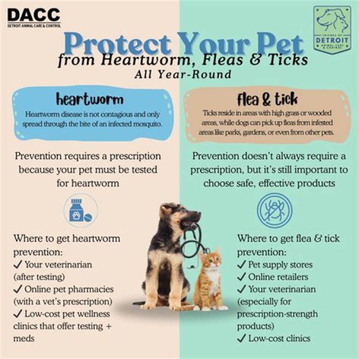 How much does it cost to get your dog tested for heartworm?