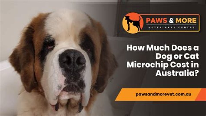 How much does it cost to shower at loves?