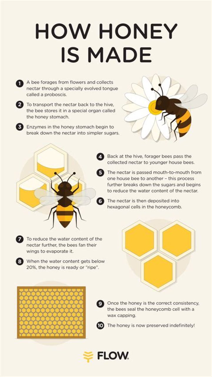 How much honey is in a honey super?
