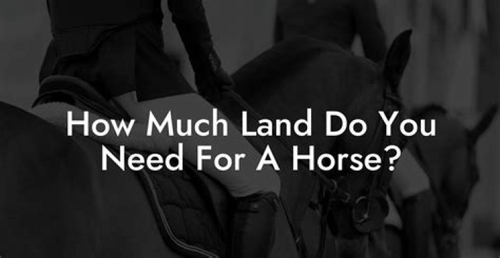 How much land do you need for 2 horses?