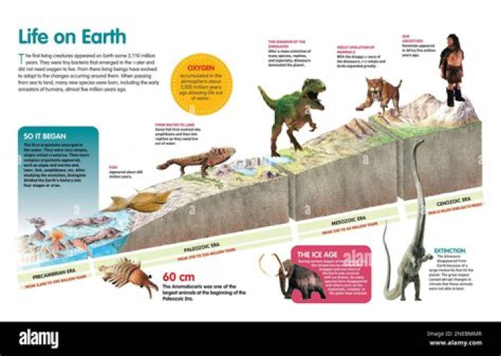 How much life is left in the sun?
