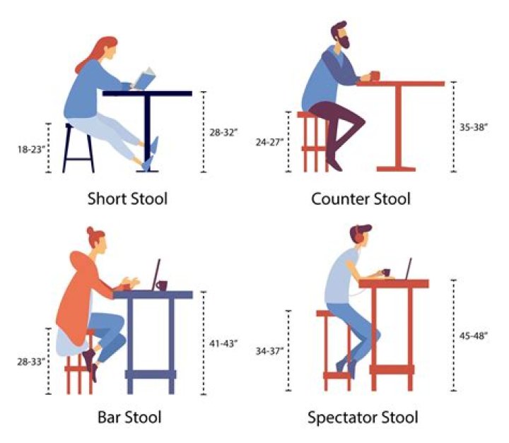 How much of my height should be legs?