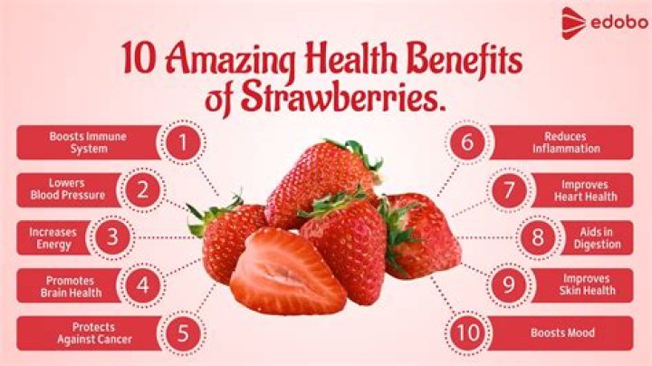 How much strawberry can a dog eat?