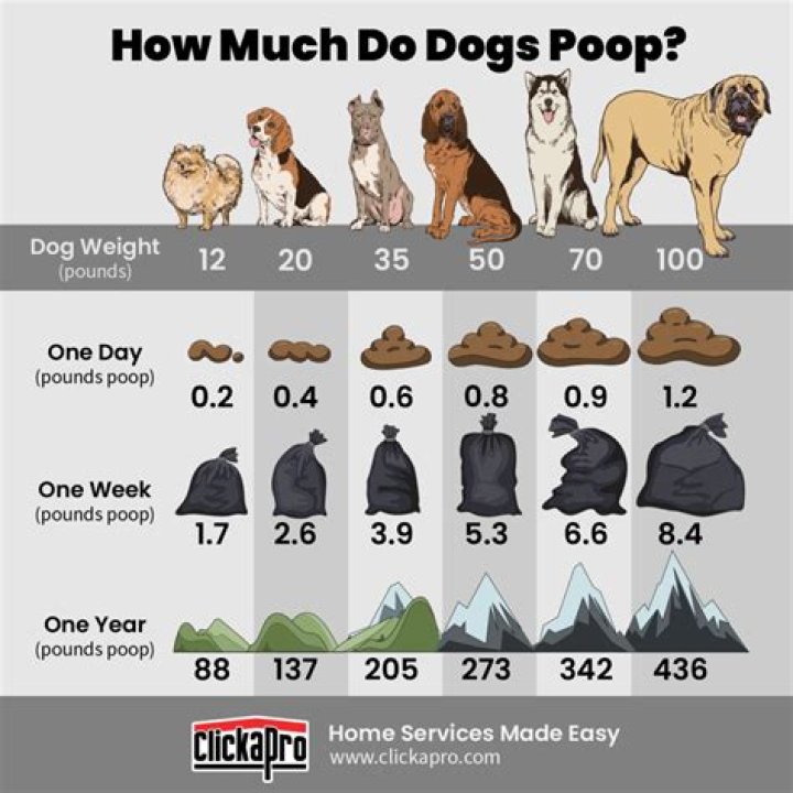 How often do you get assessed for PIP?