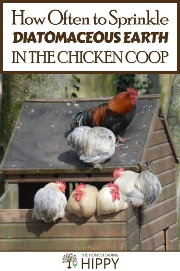 How often do you sprinkle chicken coop?
