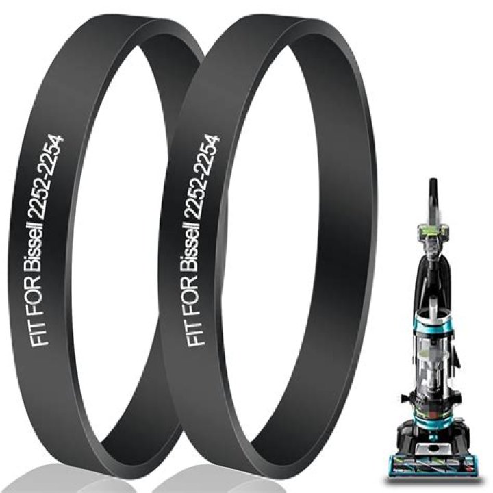 How often should you replace vacuum belt?