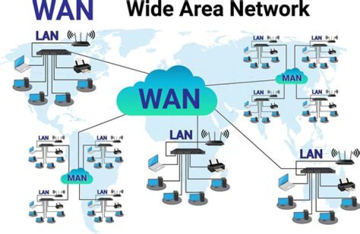 How old is Wan Wan?