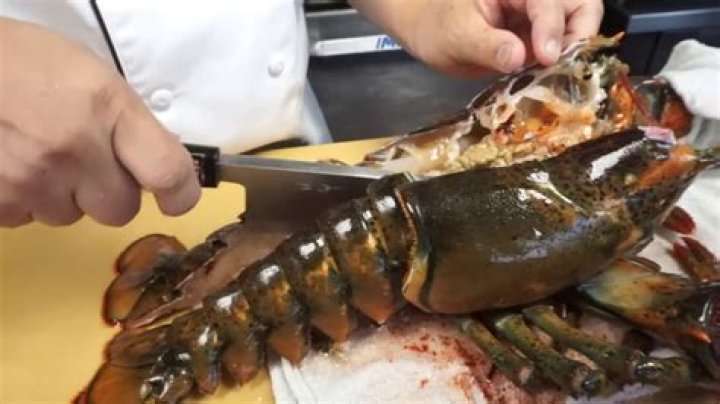 How painful is a lobster pinch?