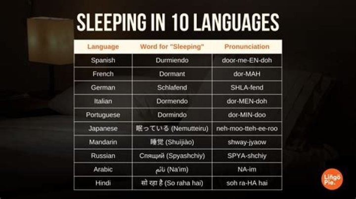 How quick can you learn a language?
