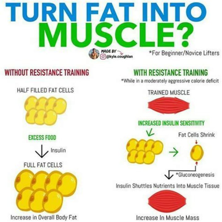 How quickly does fat turn to muscle?