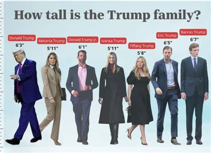 How tall are Fallohides?