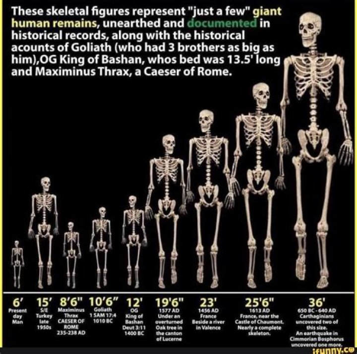 How tall was Og the giant?