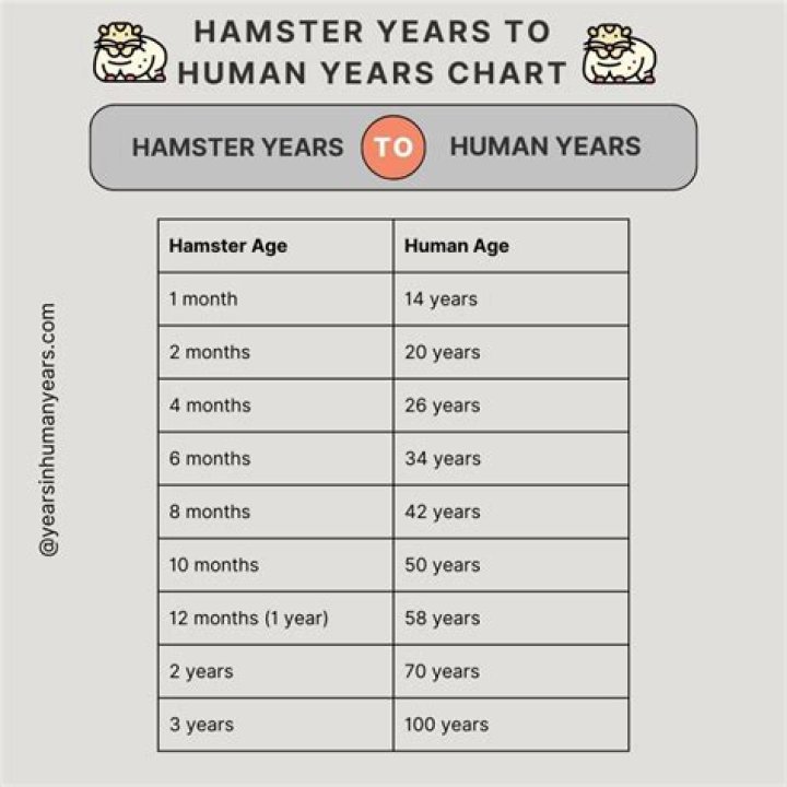Is 2 years old for a hamster?
