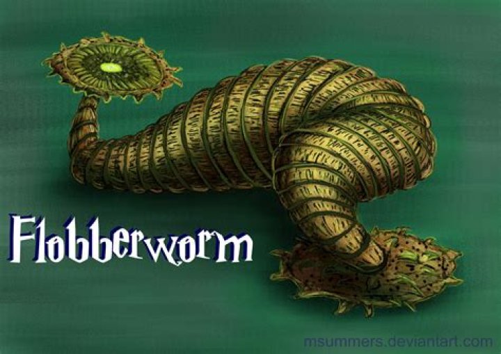 Is a Flobberworm from Africa?