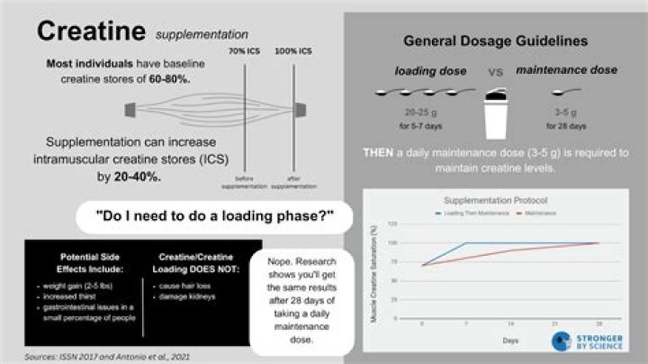 Is a loading phase necessary with creatine?