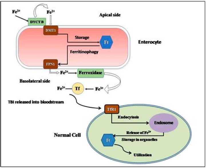 Is a slight push assault?