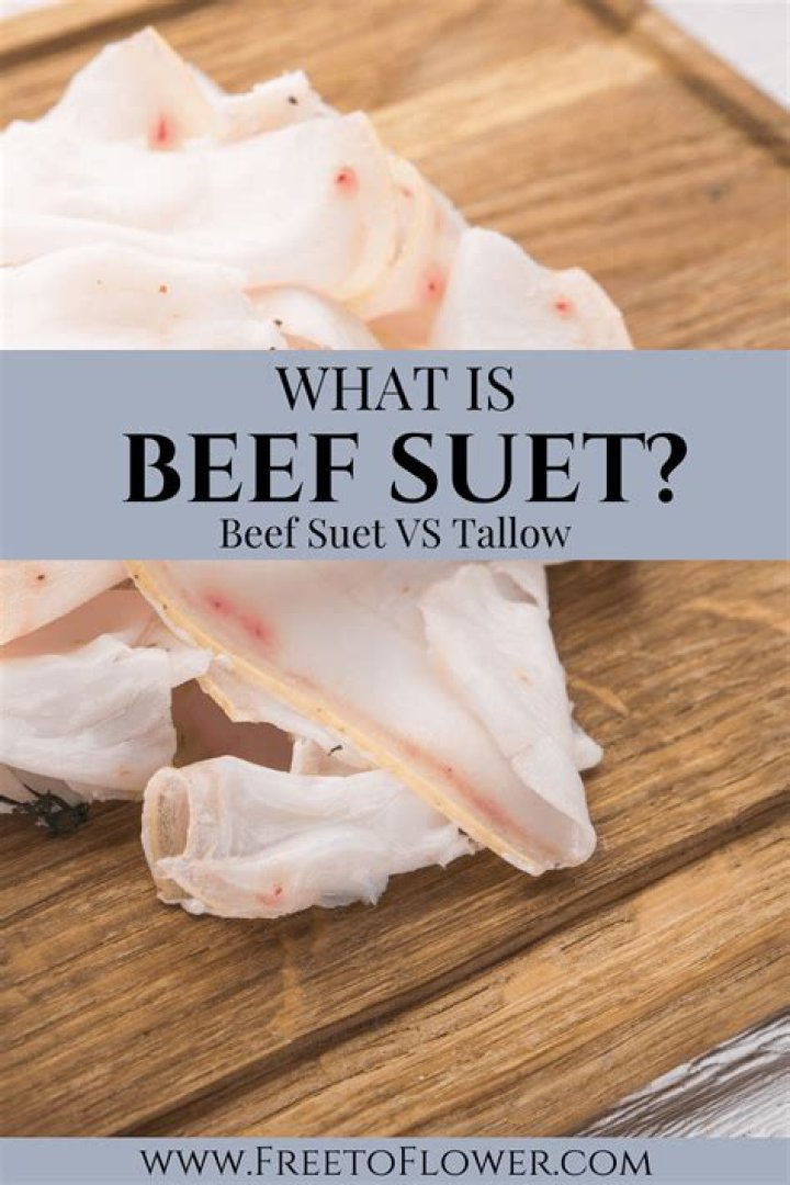 Is beef suet the same as beef fat?