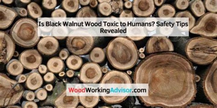 Is black walnut toxic to humans?