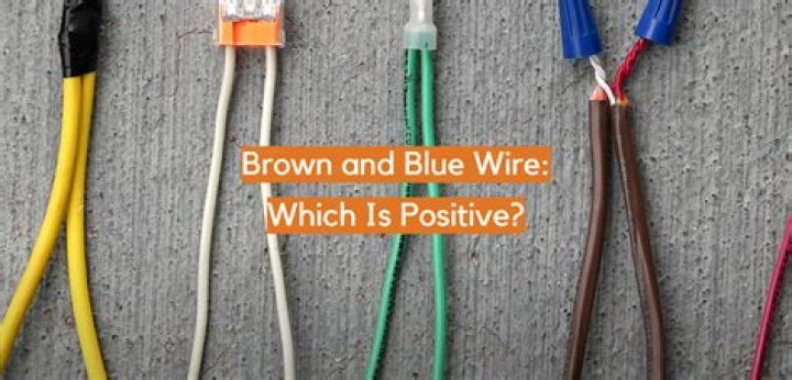 Is blue or brown wire hot?