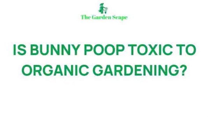Is bunny poop toxic?