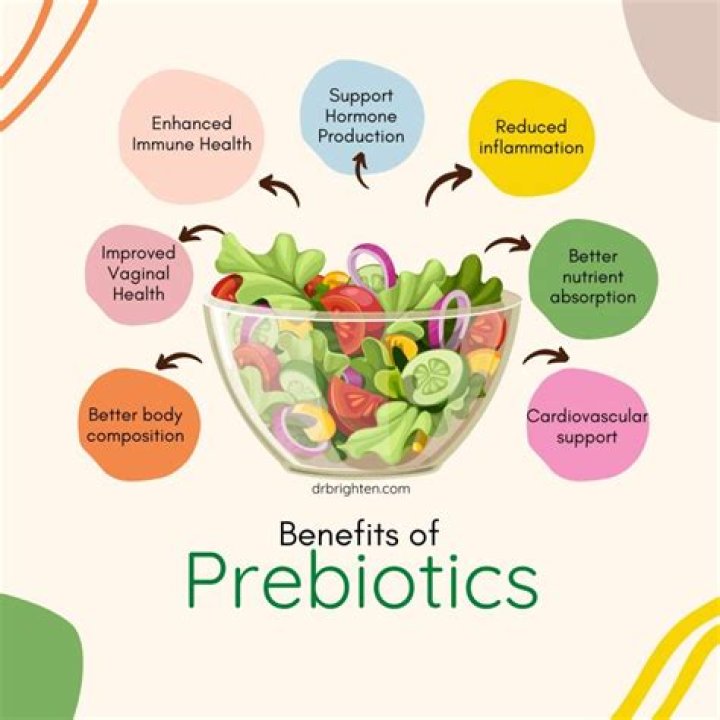 Is cabbage a prebiotic?